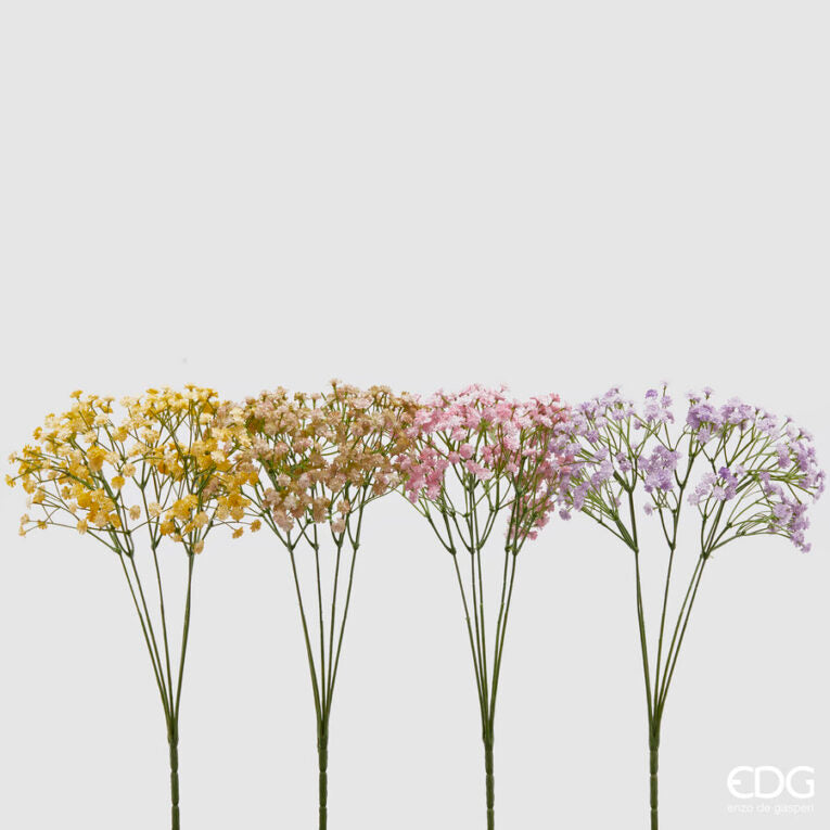 Gypsophila Cespuglio X5 4 Ass. H.40 C4