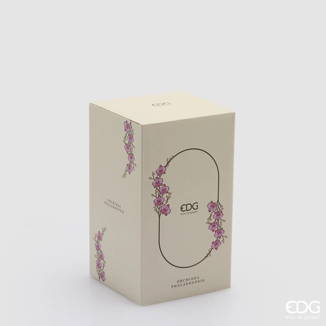 Orchidea Phalaenopsis Con Bocciolo Con Vaso