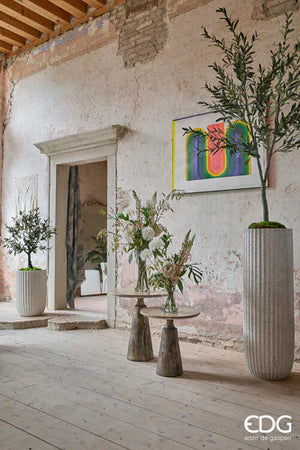 Protea Composizione Con Foglie H.71 C6