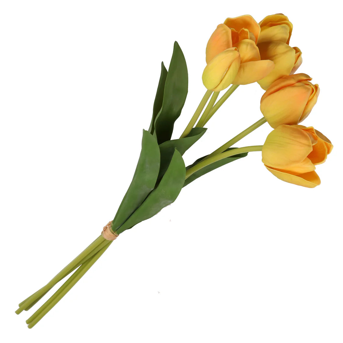 Anna Mazzo Tulipani Gialli Stelo