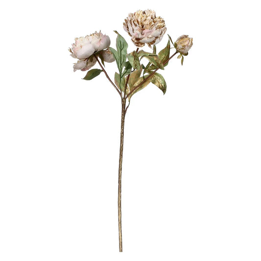 Peonie, Antonietta - Tessuto