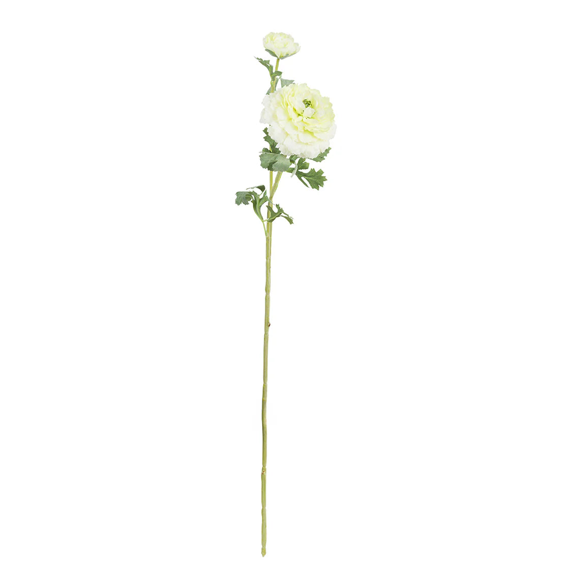 Fiorile Ranuncolo Pompon Bianco 72 Cm, Poliestere, ferro