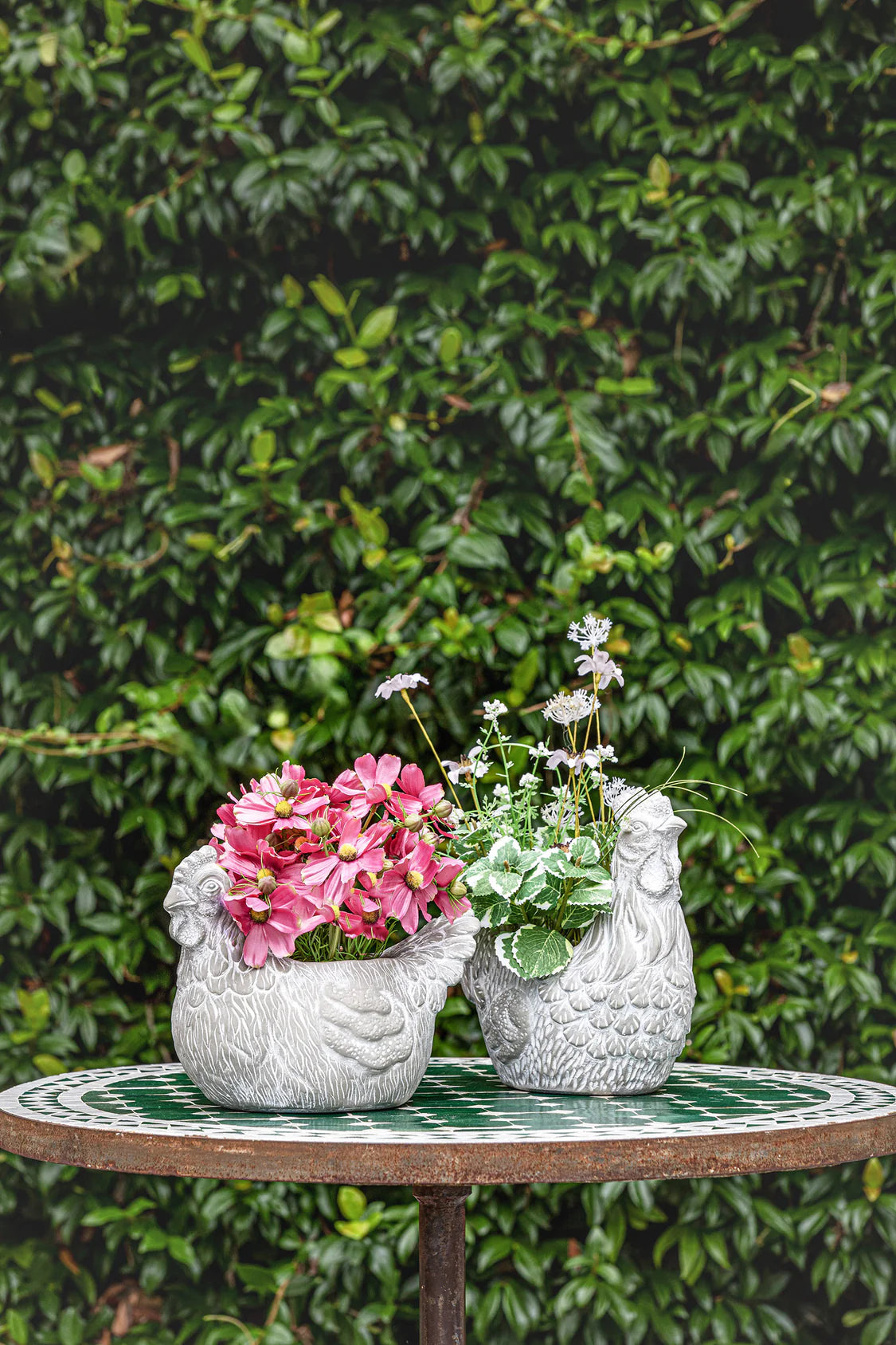 Ioete Cachepot Gallo