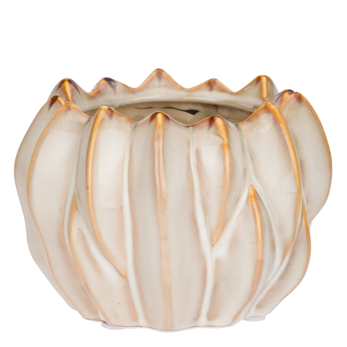 Brassica Cachepot S Crema