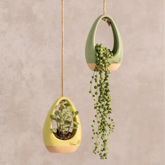 Cachepot in ceramica Incanto di Primavera con corda, verde