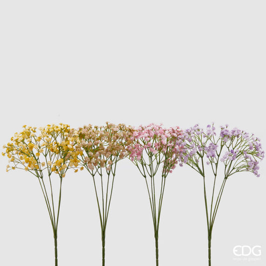 Gypsophila Cespuglio X5 4 Ass. H.40 C4