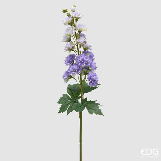 Delphinium Ramo H.135 C4