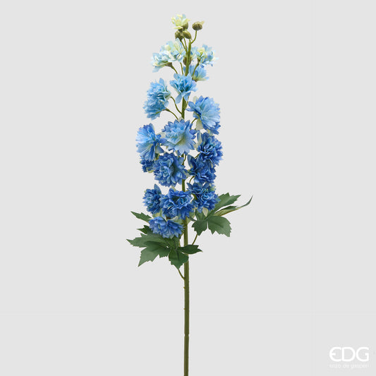 Delphinium Ramo H.135 C4