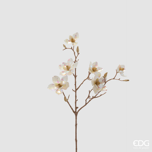 Magnolia Glossy Ramo H.65 C6 12