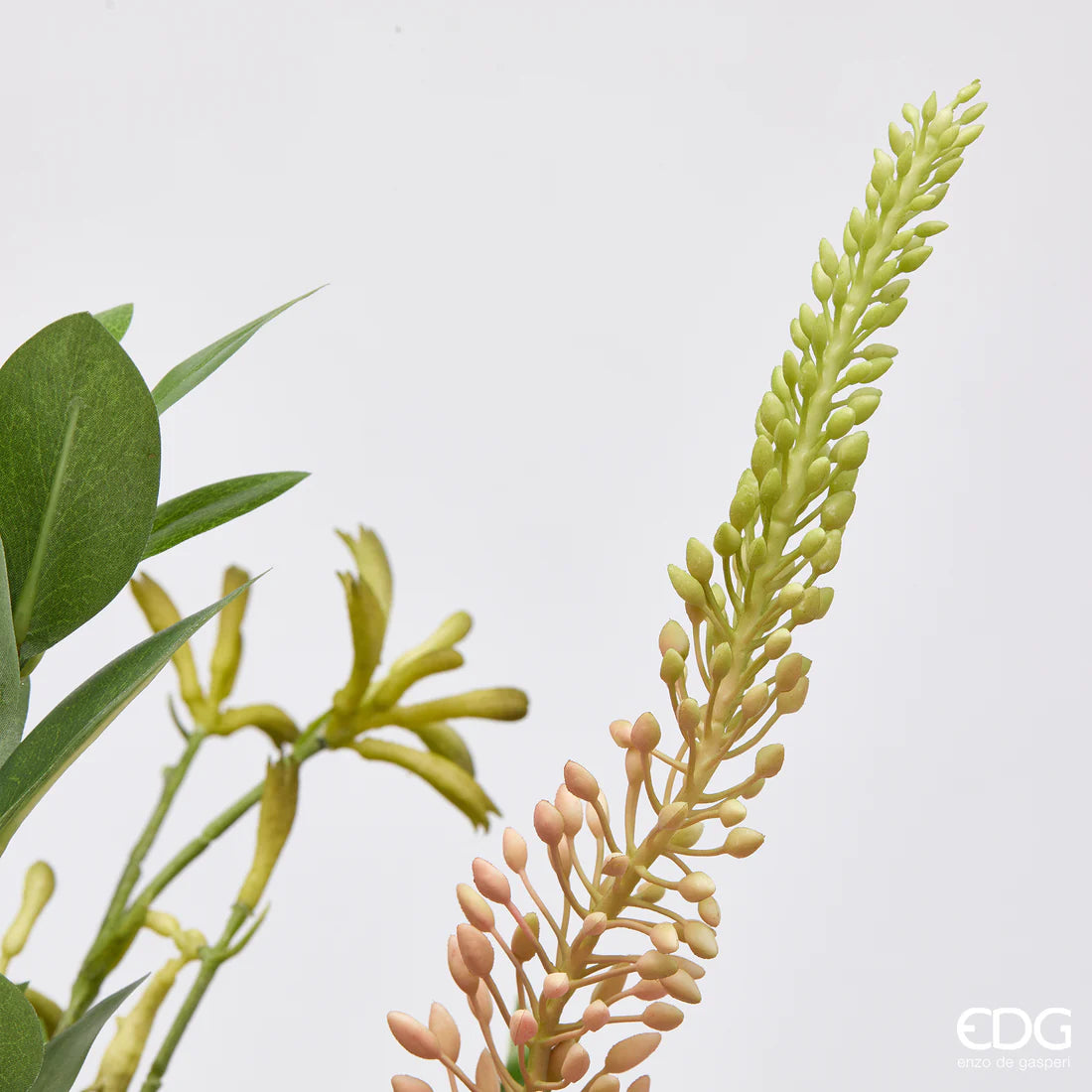Protea Composizione Con Foglie H.71 C6