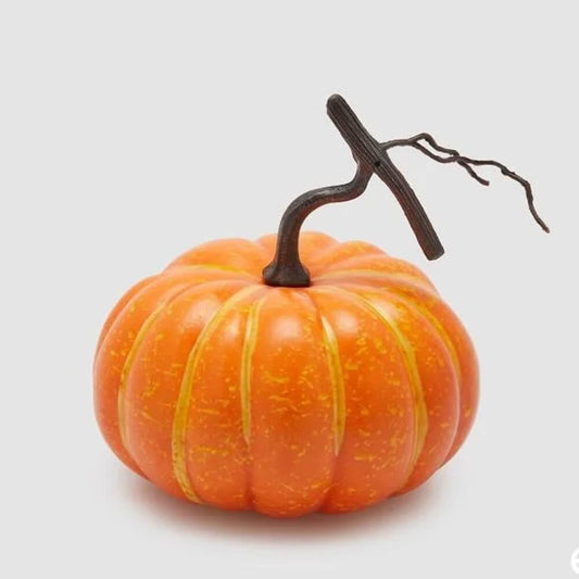 Zucca Decorativa Arancione