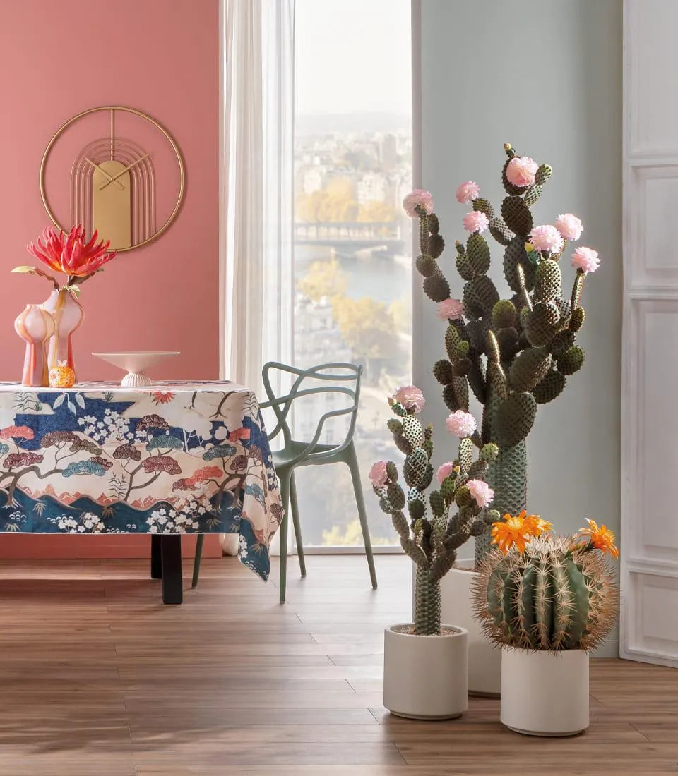 Cactus fiori arancioni