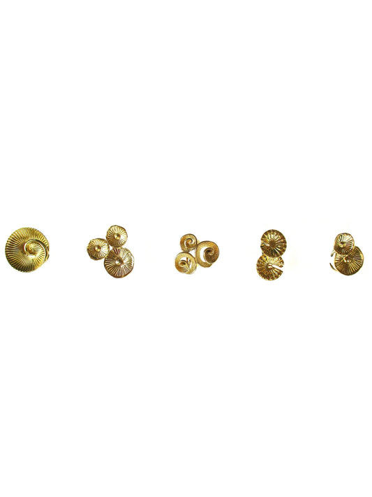 Anello con composizioni a spirale Medusa