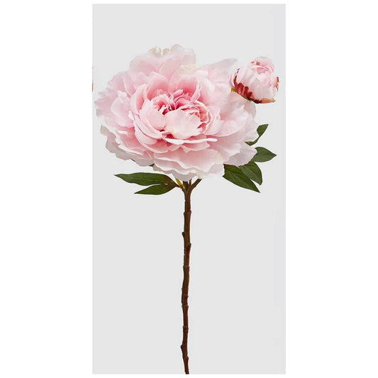 Ramo Peonia artificiale