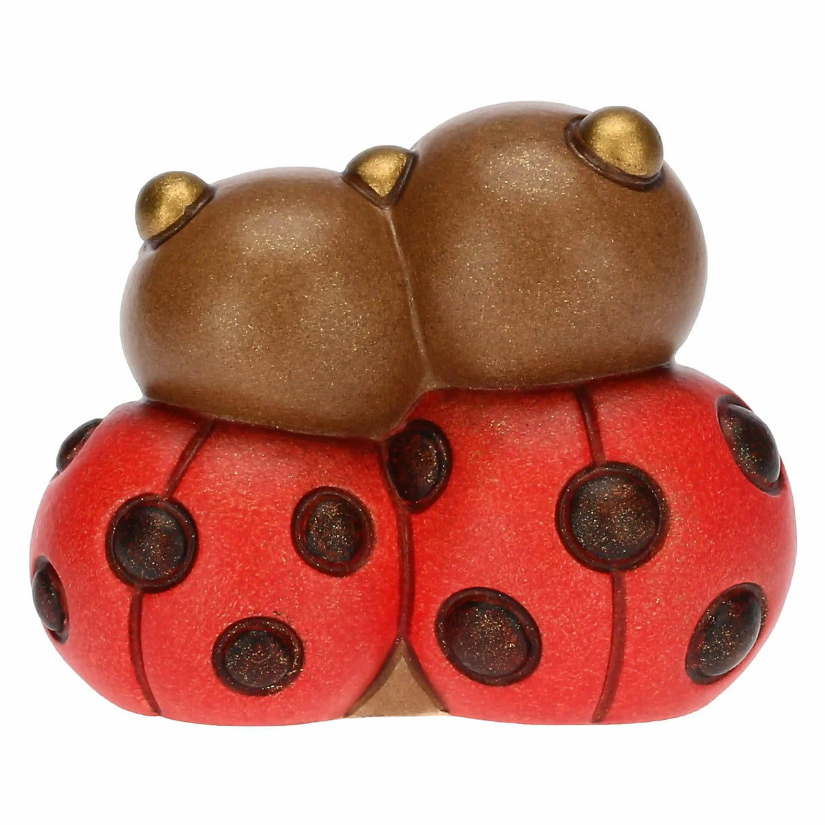Coppia coccinelle e cuore