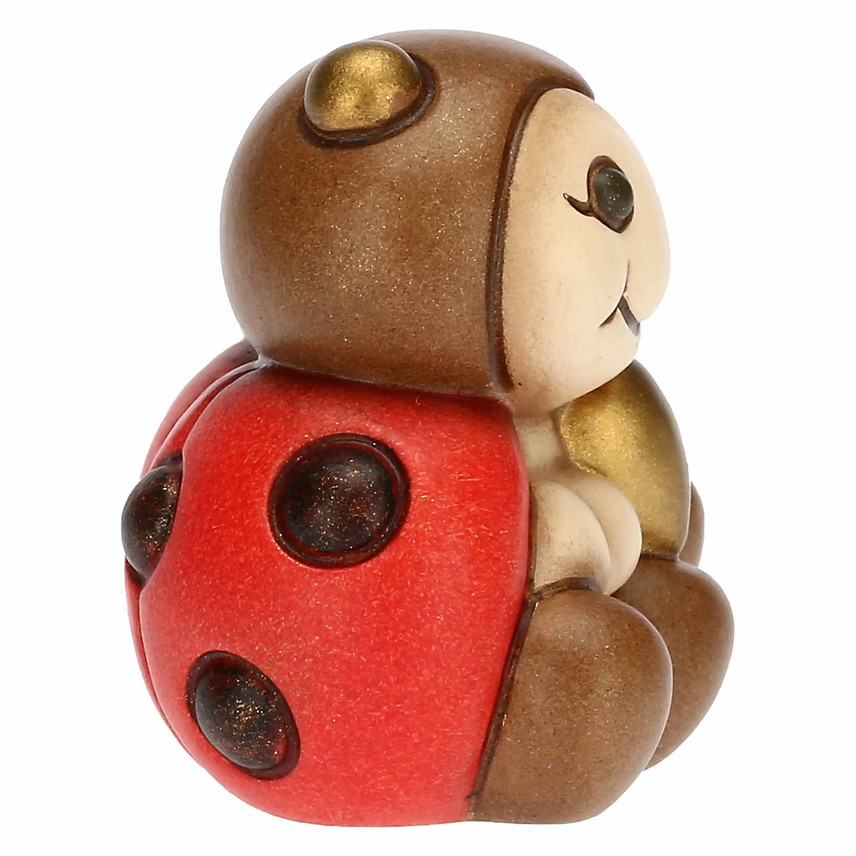 Coppia coccinelle e cuore