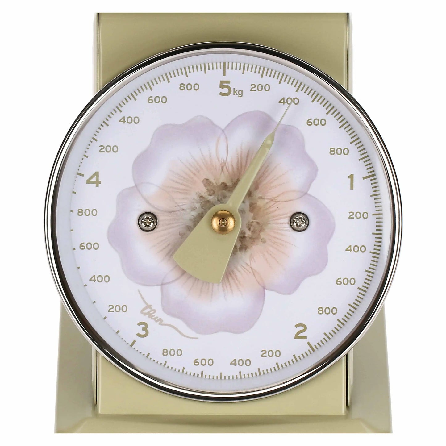 Bilancia analogica, Bloom