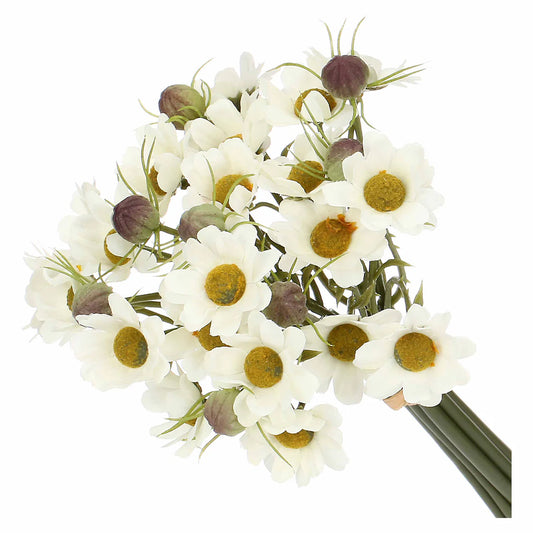 Ilmazzolino Margherite Bianco