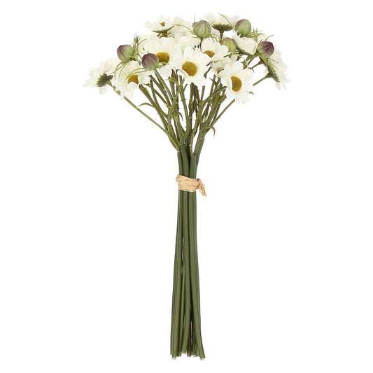 Ilmazzolino Margherite Bianco