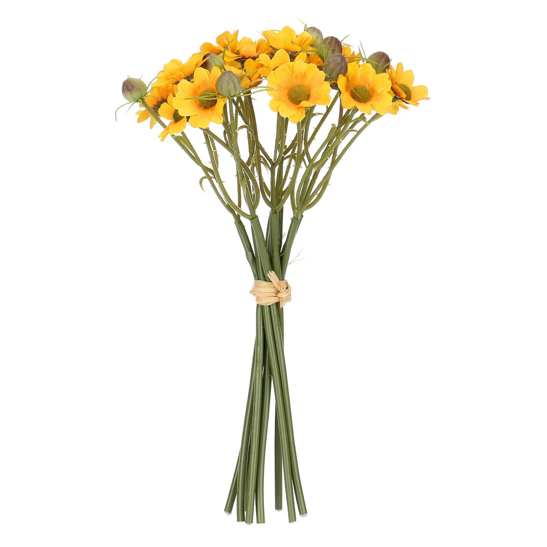 Ilmazzolino Margherite Giallo