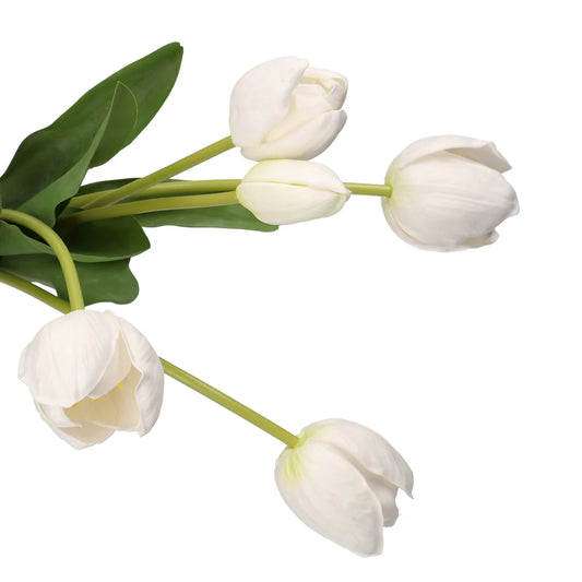 Anna Mazzo Tulipani Bianchi Stelo