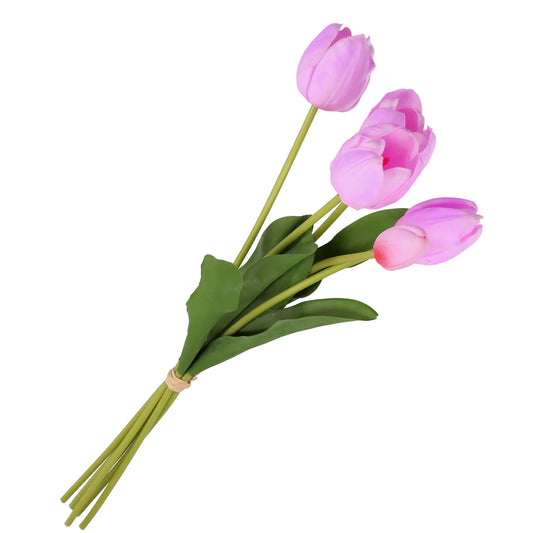 Anna Mazzo Tulipani Fucsia Stelo