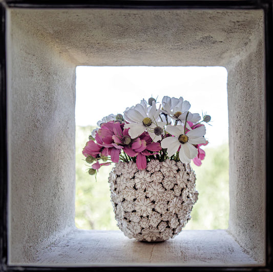 Cachepot L Bianco, Fiorinfiorello