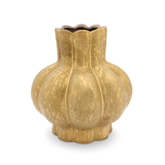 Vaso M, Criso