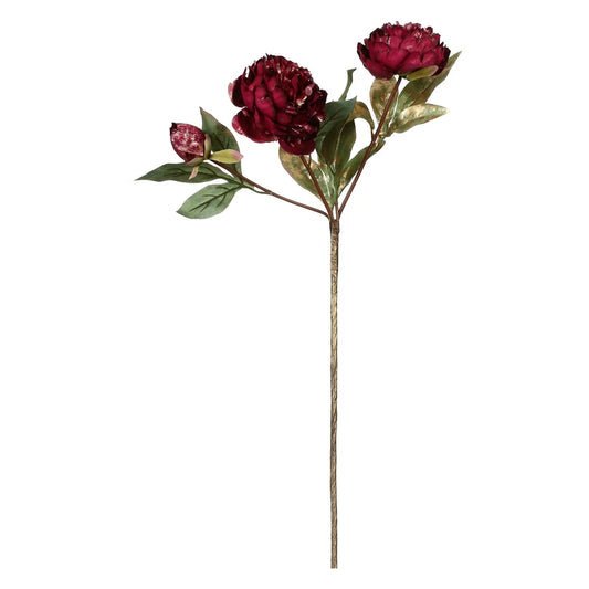 Peonie, Antonietta - Tessuto