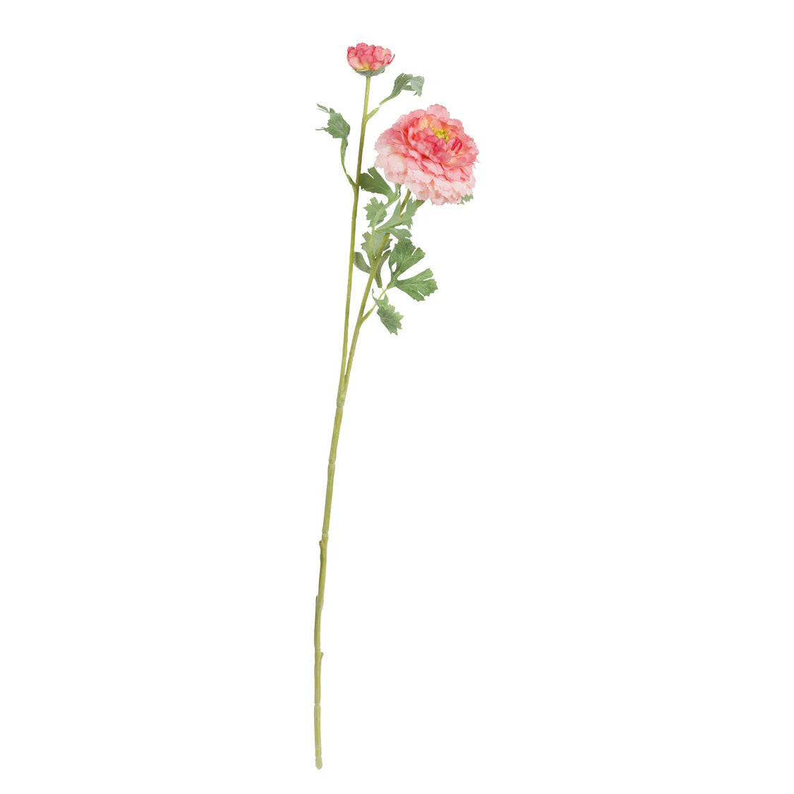 Fiorile Ranuncolo Pompon Pesca 72 Cm, Poliestere, ferro