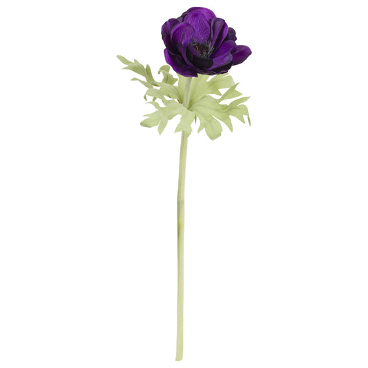 Fiorile Anemone Viola
