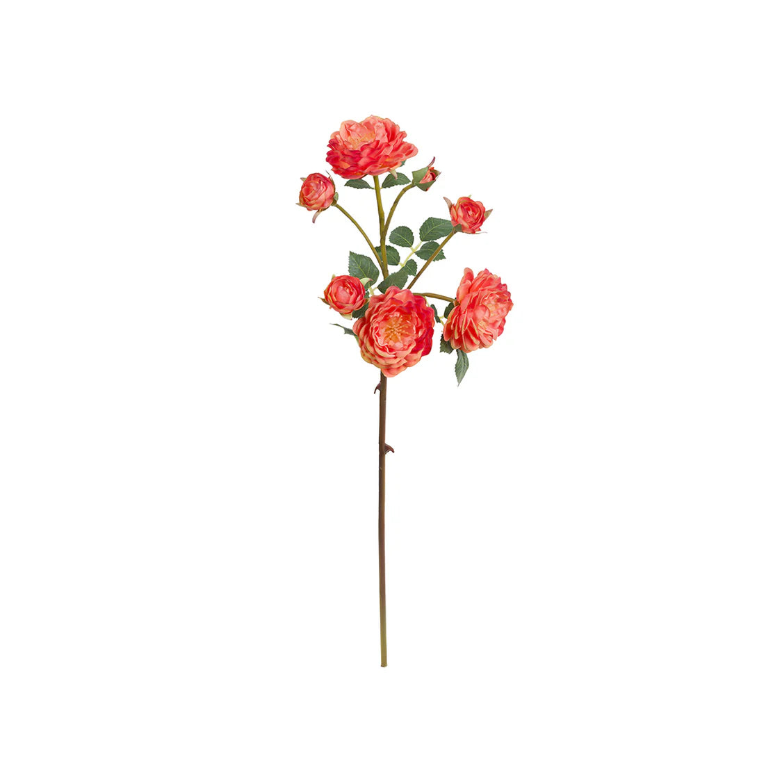 Fiorile Rosa Antonietta Arancio 54 Cm
