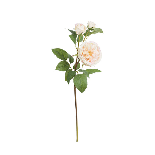 Fiorile Rosa Pier Bianco 58 Cm