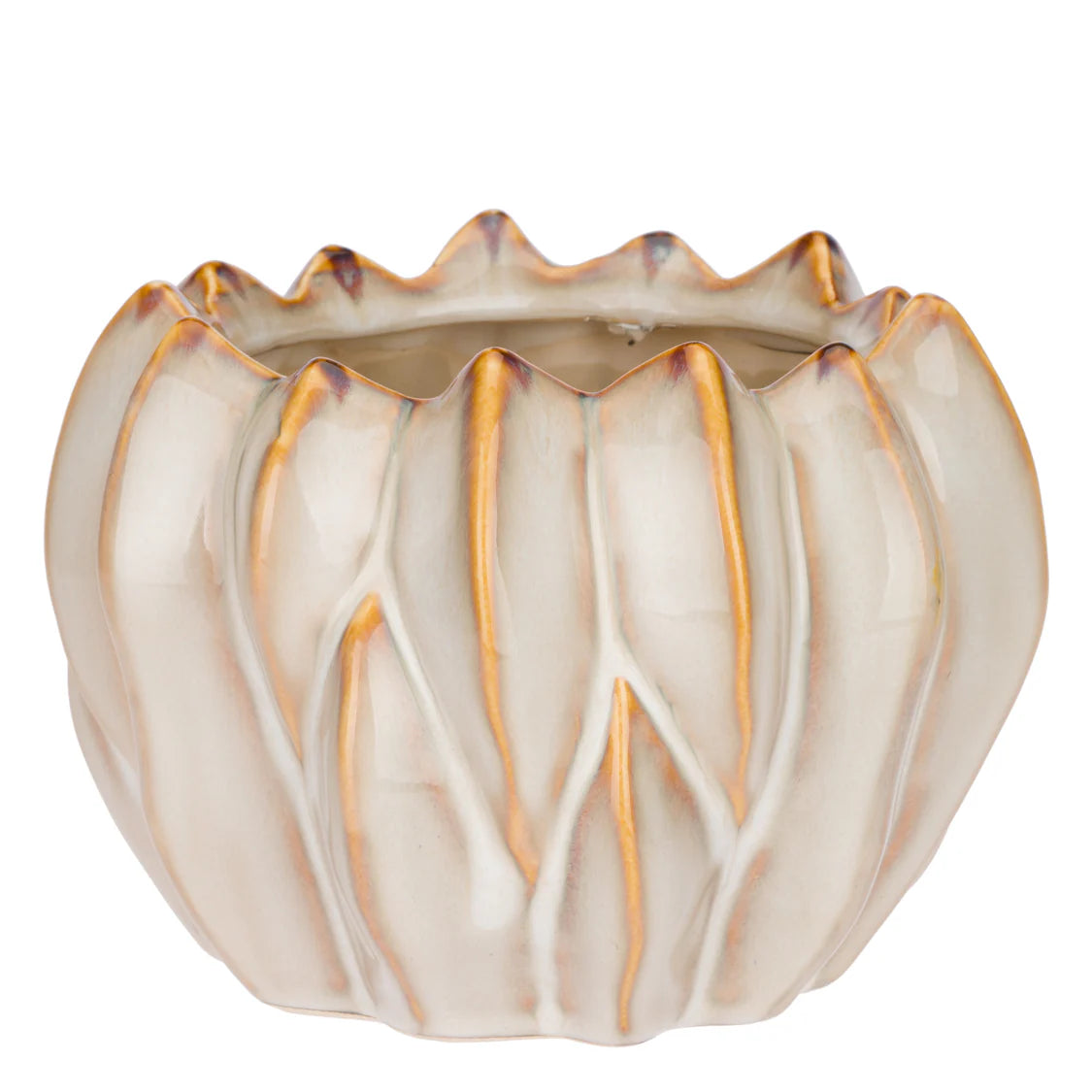 Brassica Cachepot S Crema