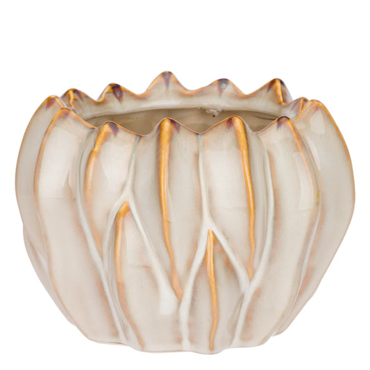 Brassica Cachepot S Crema