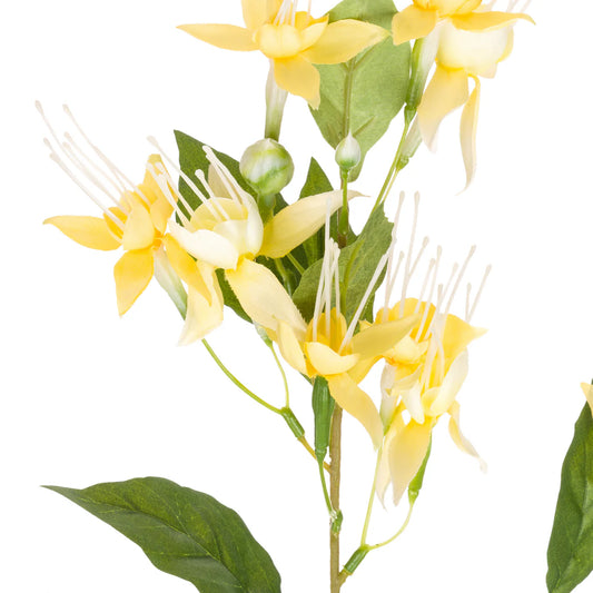 Fiorile Fucsia Giallo Chiaro,