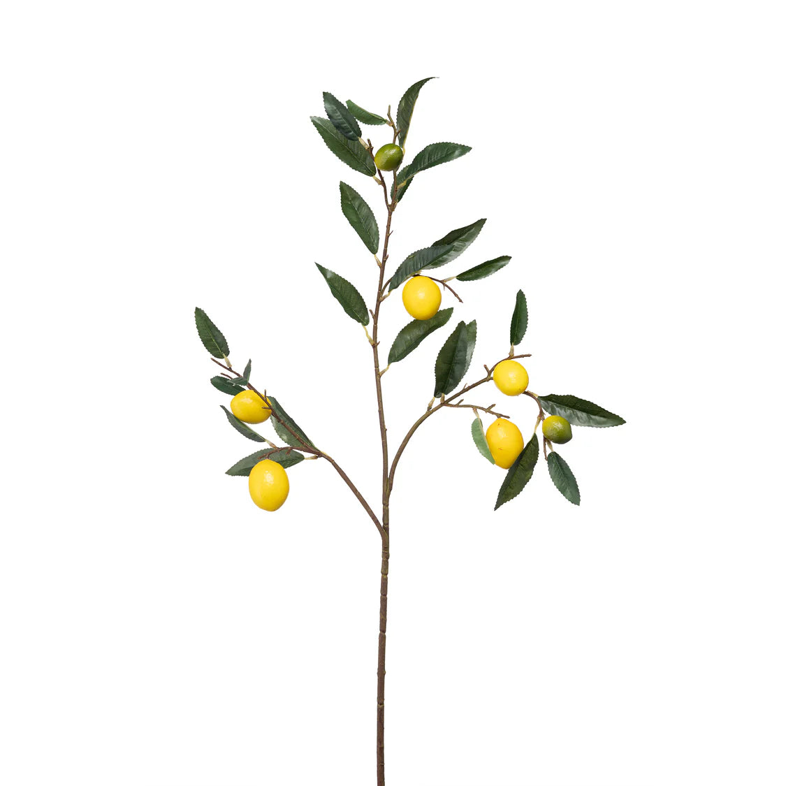 Fiorile Ramo Limoni, h86 cm