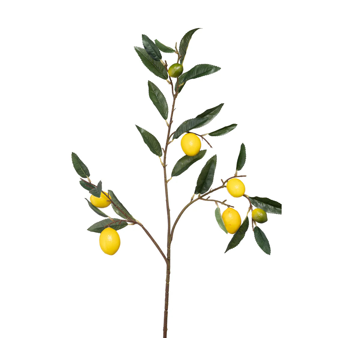 Fiorile Ramo Limoni, h86 cm