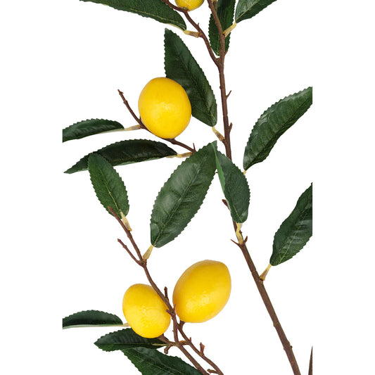 Fiorile Ramo Limoni, h86 cm