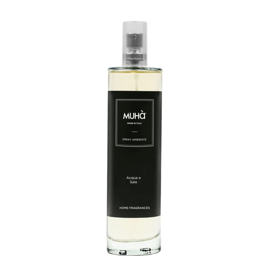 Diffusore Spray Acqua e Sale