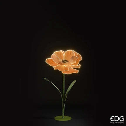Decoro Luminoso Anemone Jumbo LED