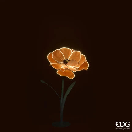 Decoro Luminoso Anemone Jumbo LED