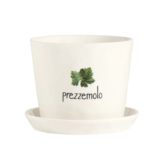 Vaso Prezzemolo, con sottovaso